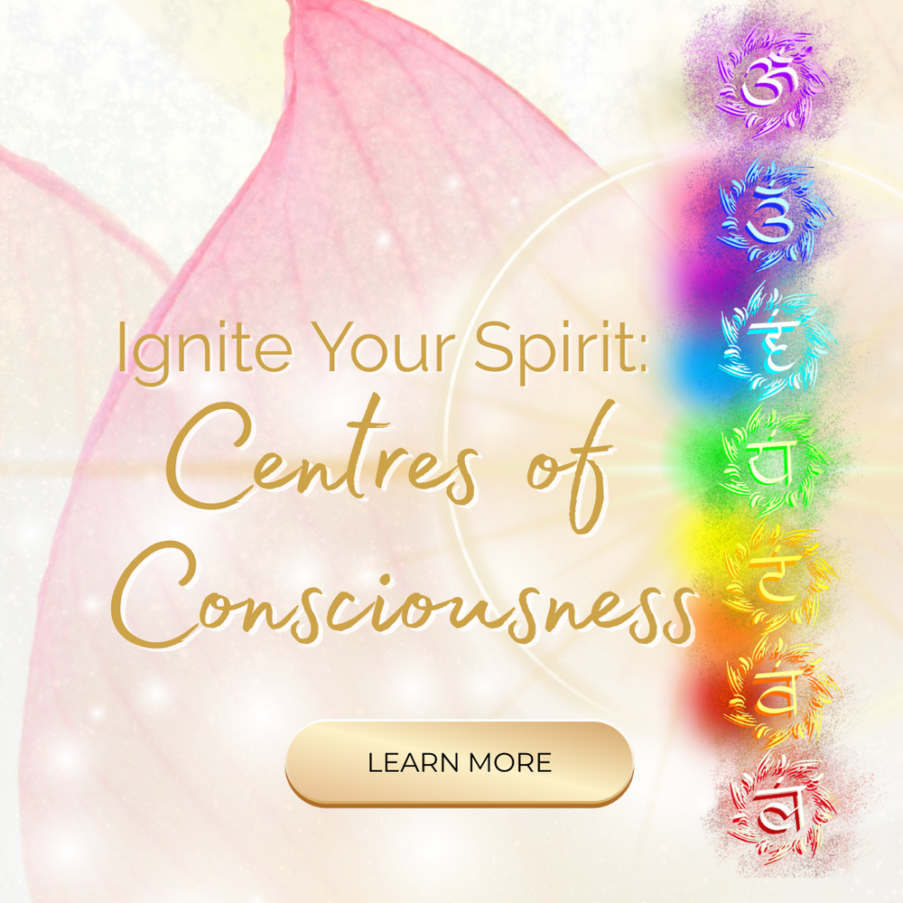 IYS Centres of Consciousness