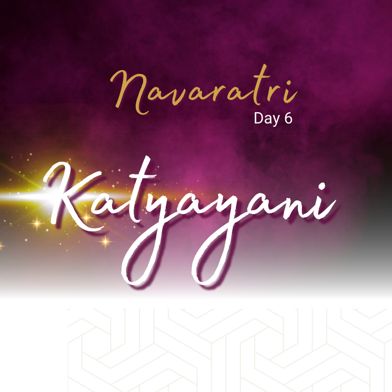 Navaratri Day 6 USA Katyayani